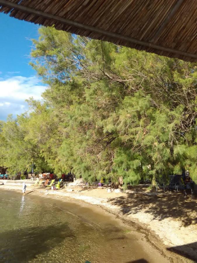 Sole Mio Daire Milina Dış mekan fotoğraf